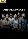 Animal Kingdom Temporada 4 [720p]